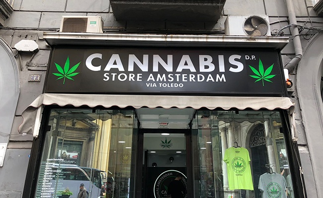 Cannabis store amsterdam frachise