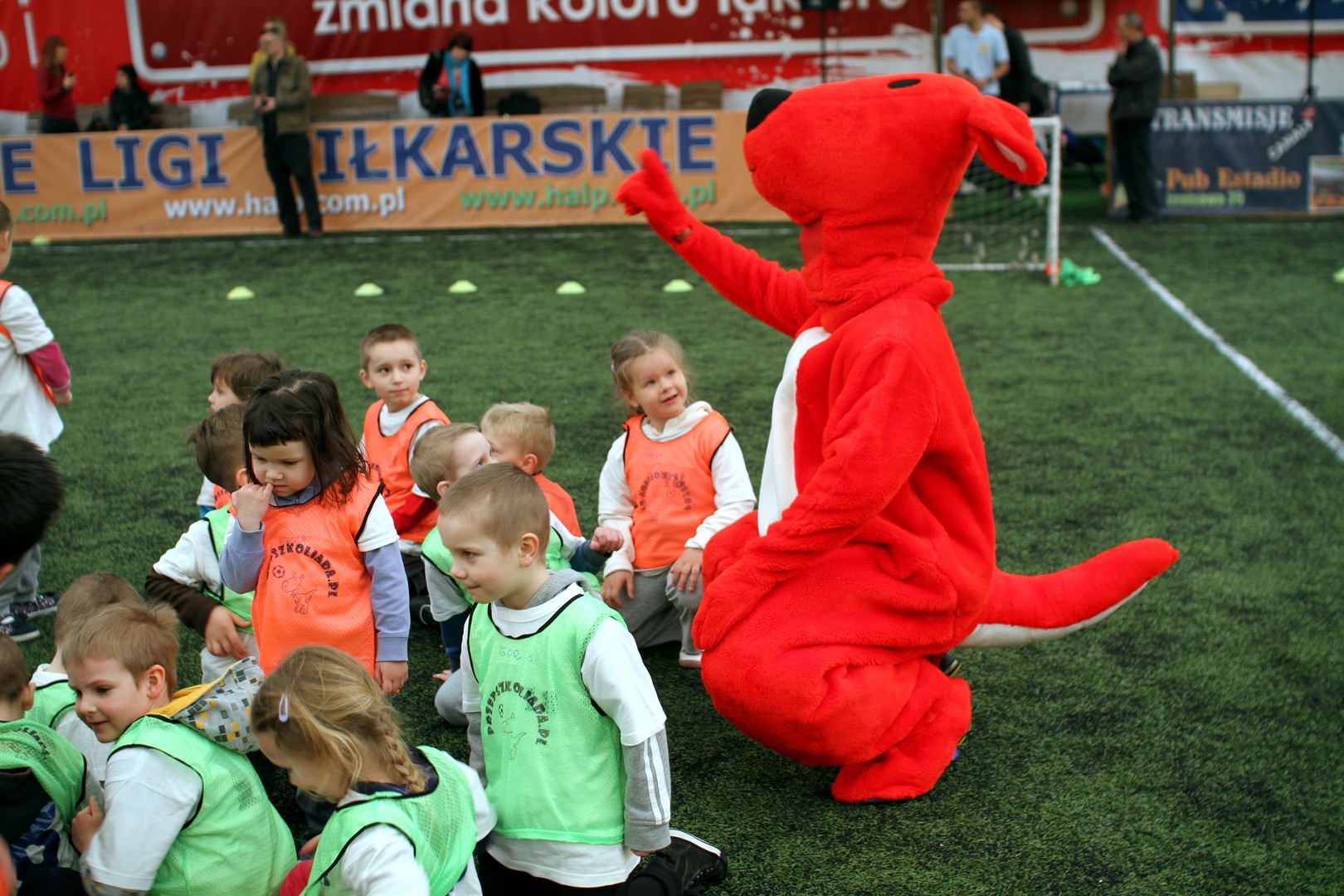 kangaroo team fransiza
